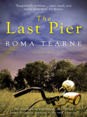 cover image of The Last Pier